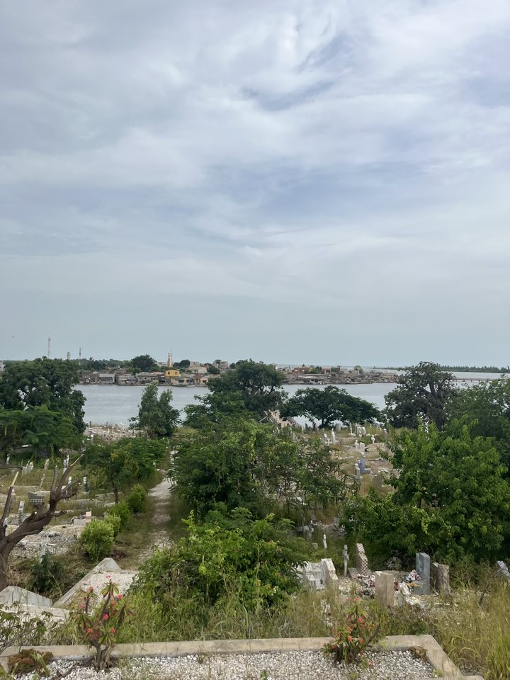 Excursion au départ du Riu Baobab