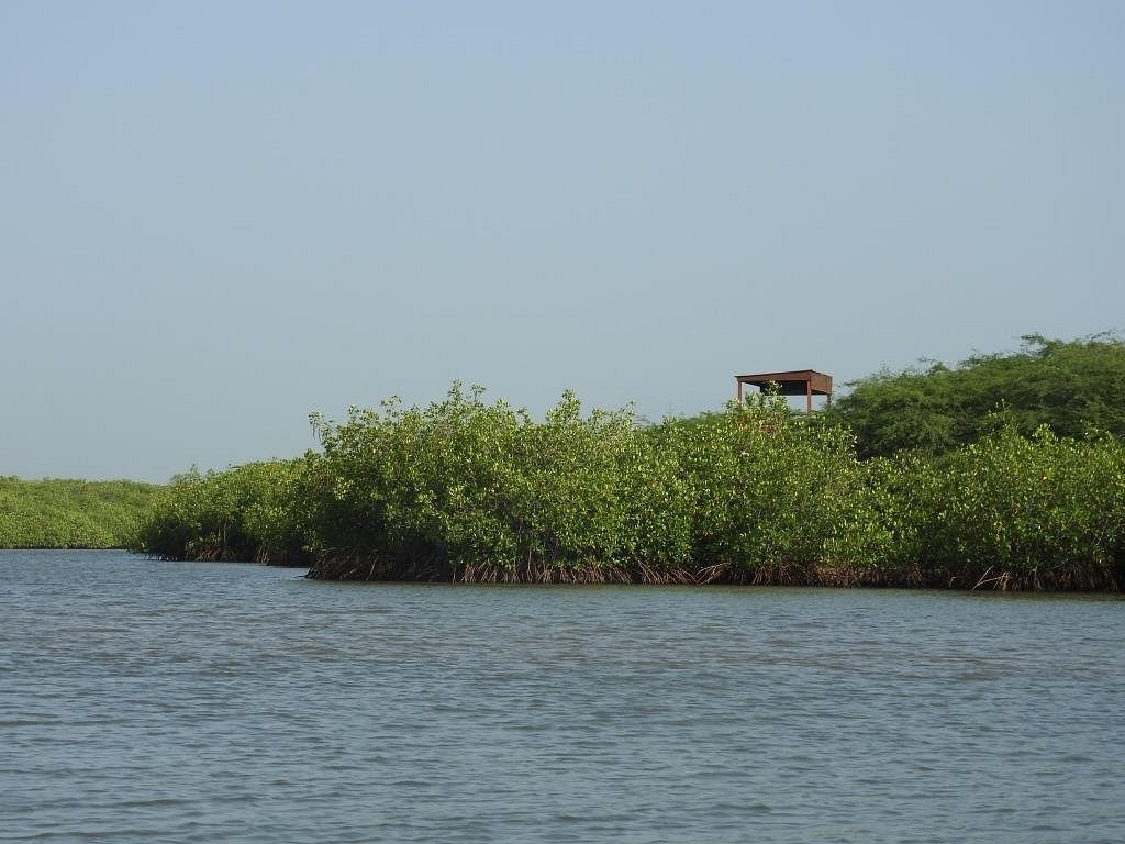 Excursion au Départ du Royal Saly