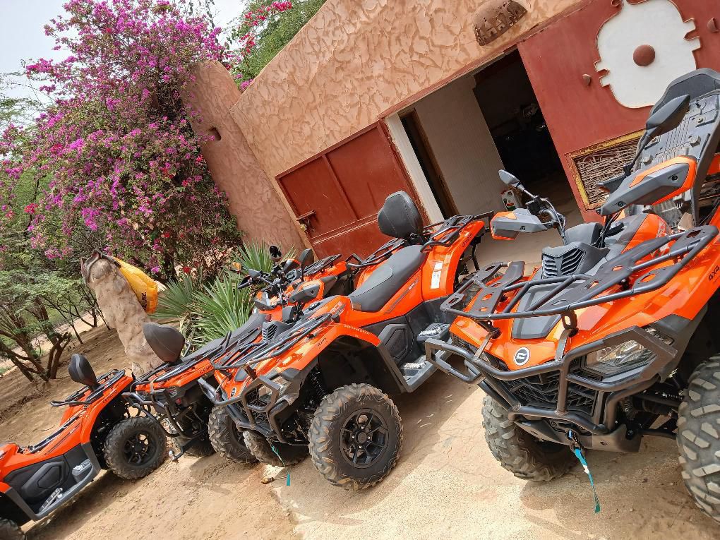 Combiné Réserve et Ranch de Bandia au départ de Riu Baobab